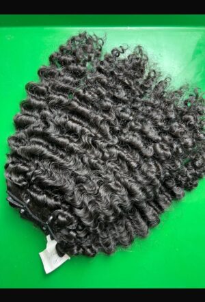 Burmese Curly